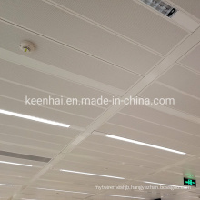 Interior Fashion Design Indoor Perforated Panel Aluminum Ceiling